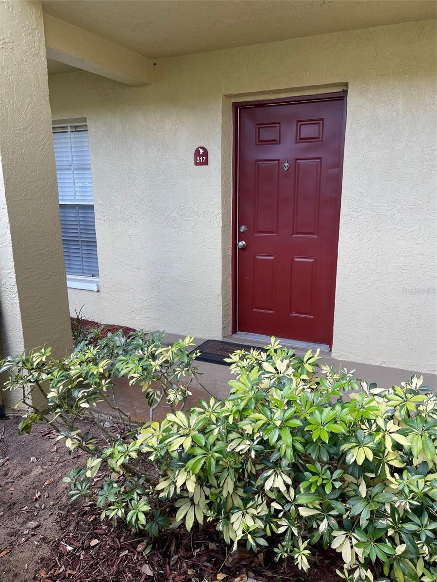 Photo of Listing #TB8385955