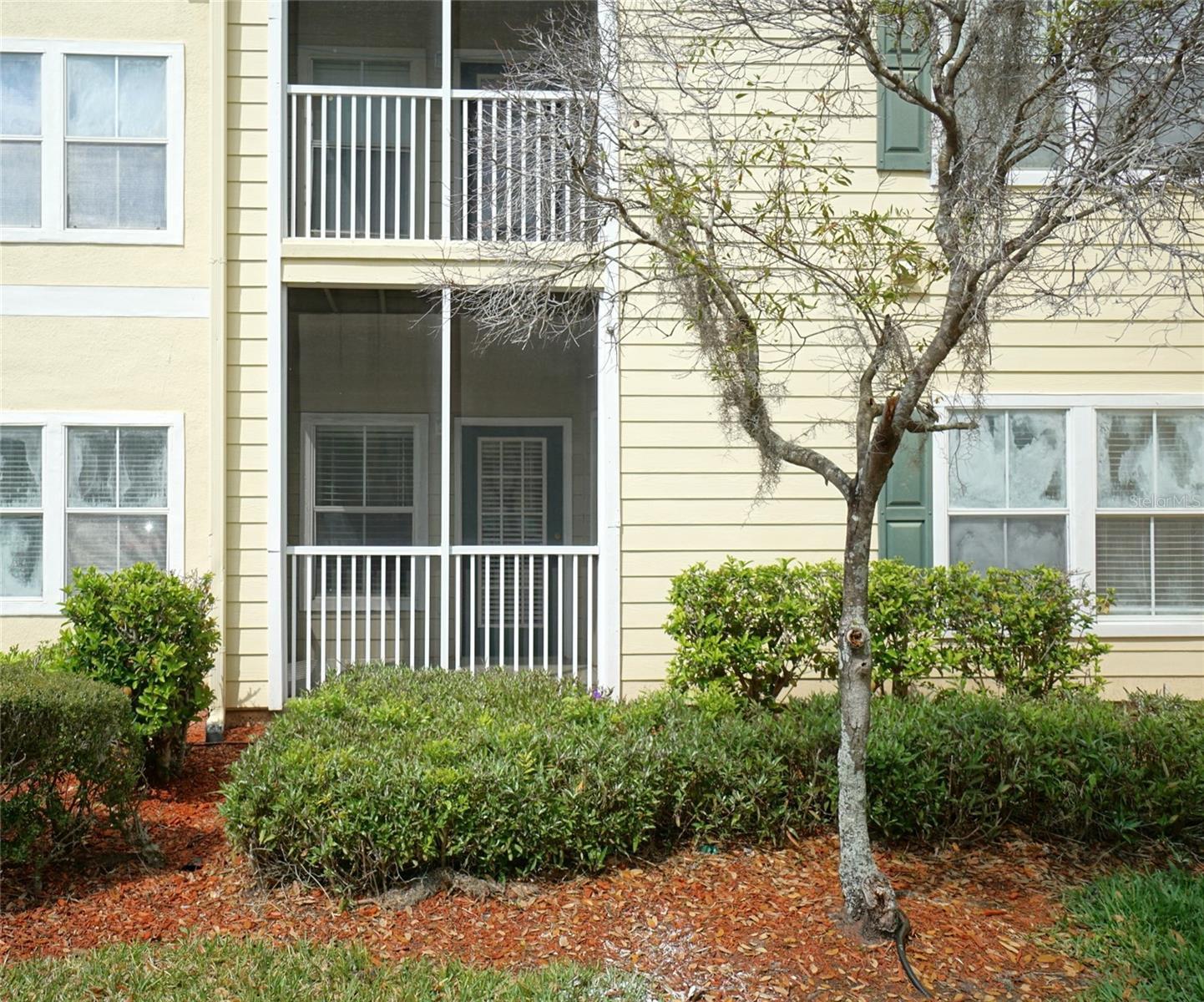 Photo of Listing #TB8387125