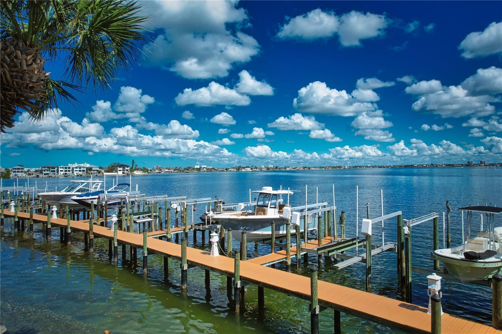 Photo of Listing #TB8403742