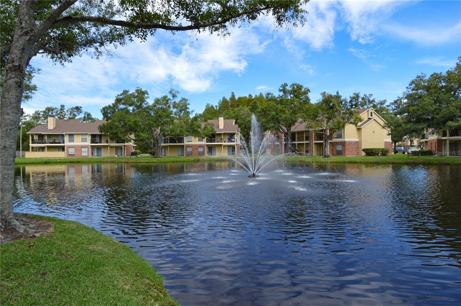 Photo of Listing #TB8417282
