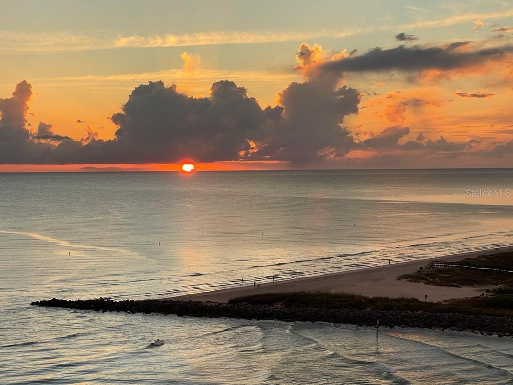 Photo of Listing #TB8417552