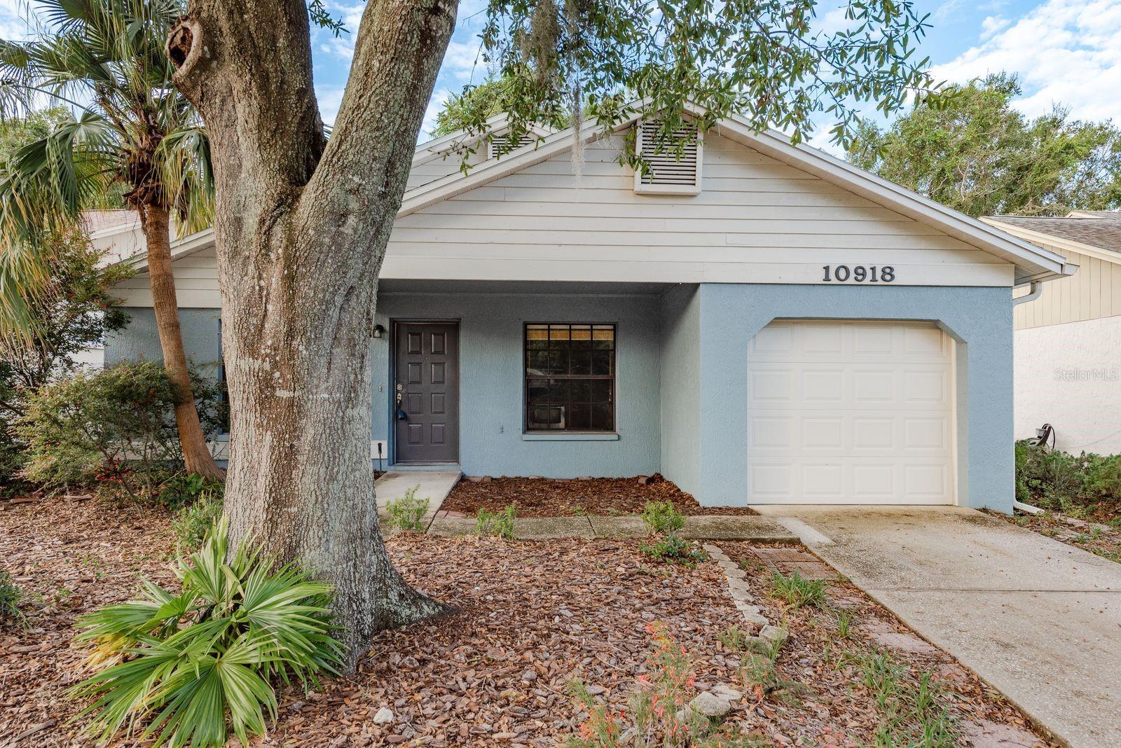 Photo of Listing #TB8424177