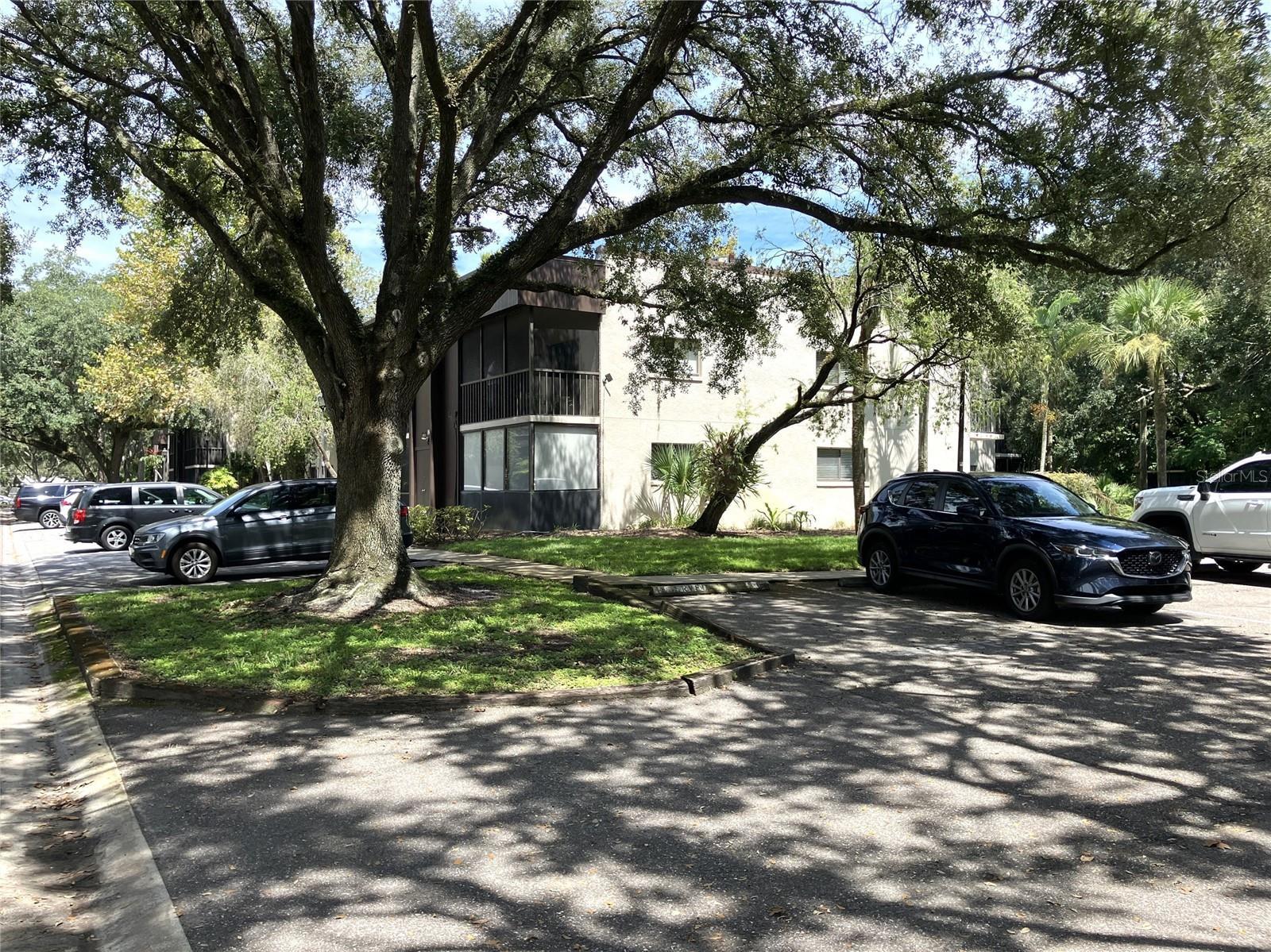 Photo of Listing #TB8427882