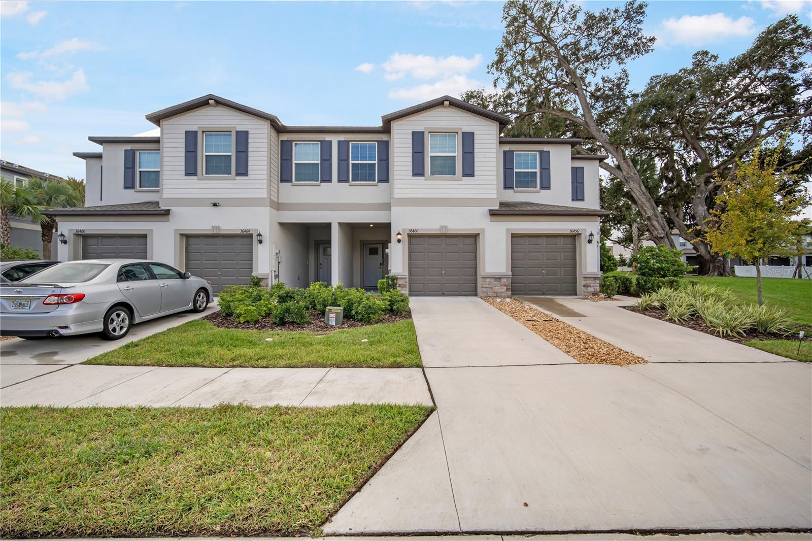 Photo of Listing #TB8429481