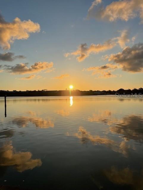 Photo of Listing #TB8439411