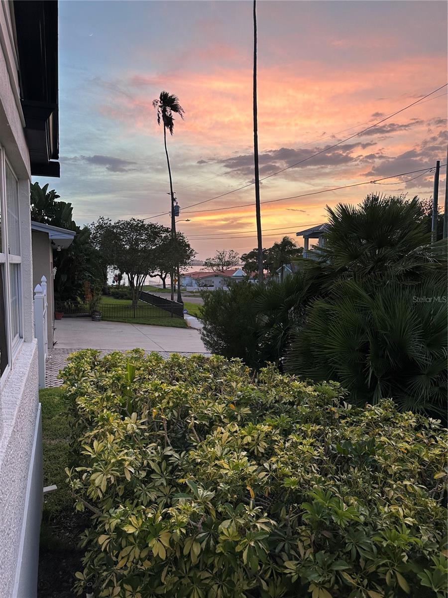 Photo of Listing #TB8440655