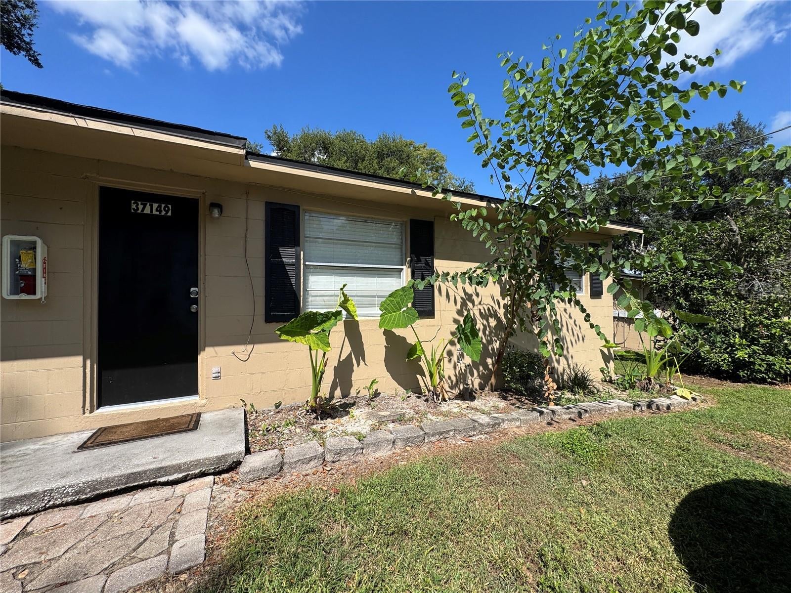 Photo of Listing #TB8442894