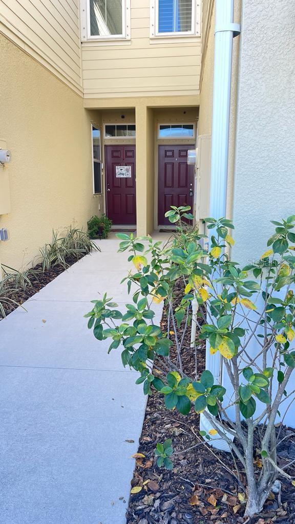 Photo of Listing #TB8443777