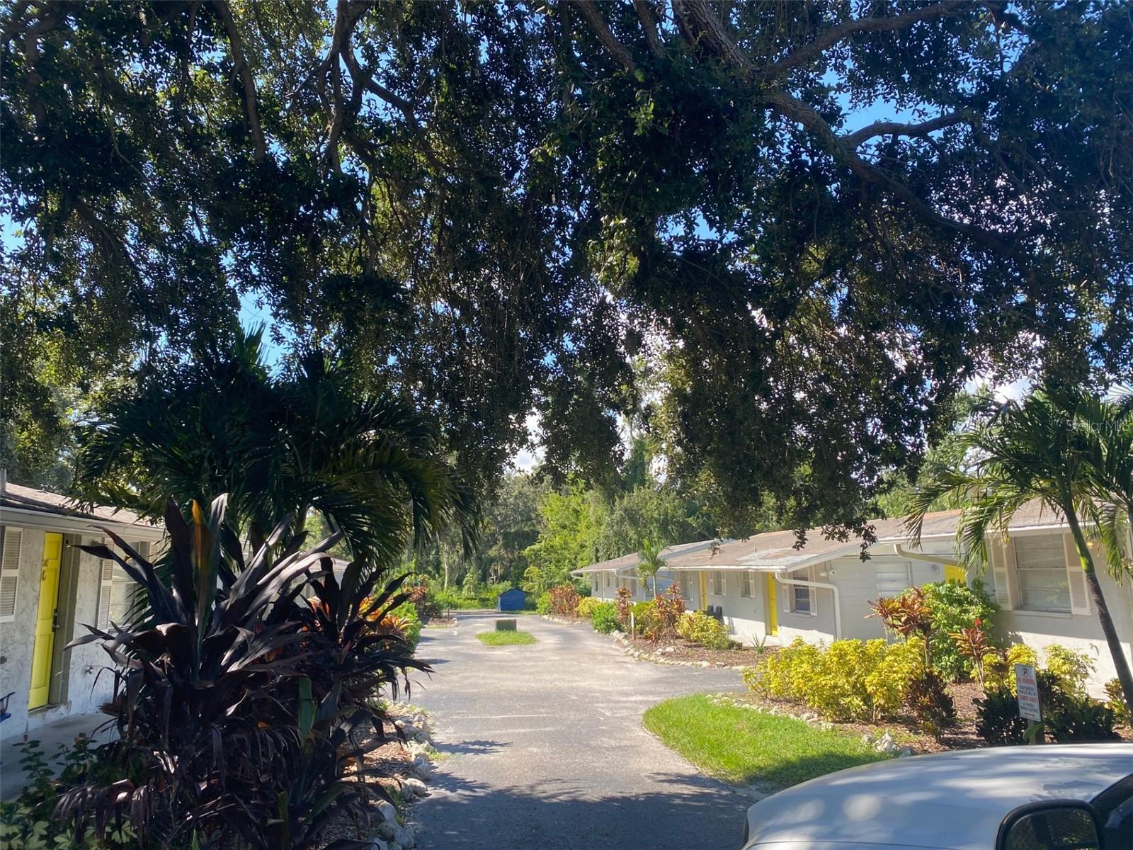 Photo of Listing #TB8445663