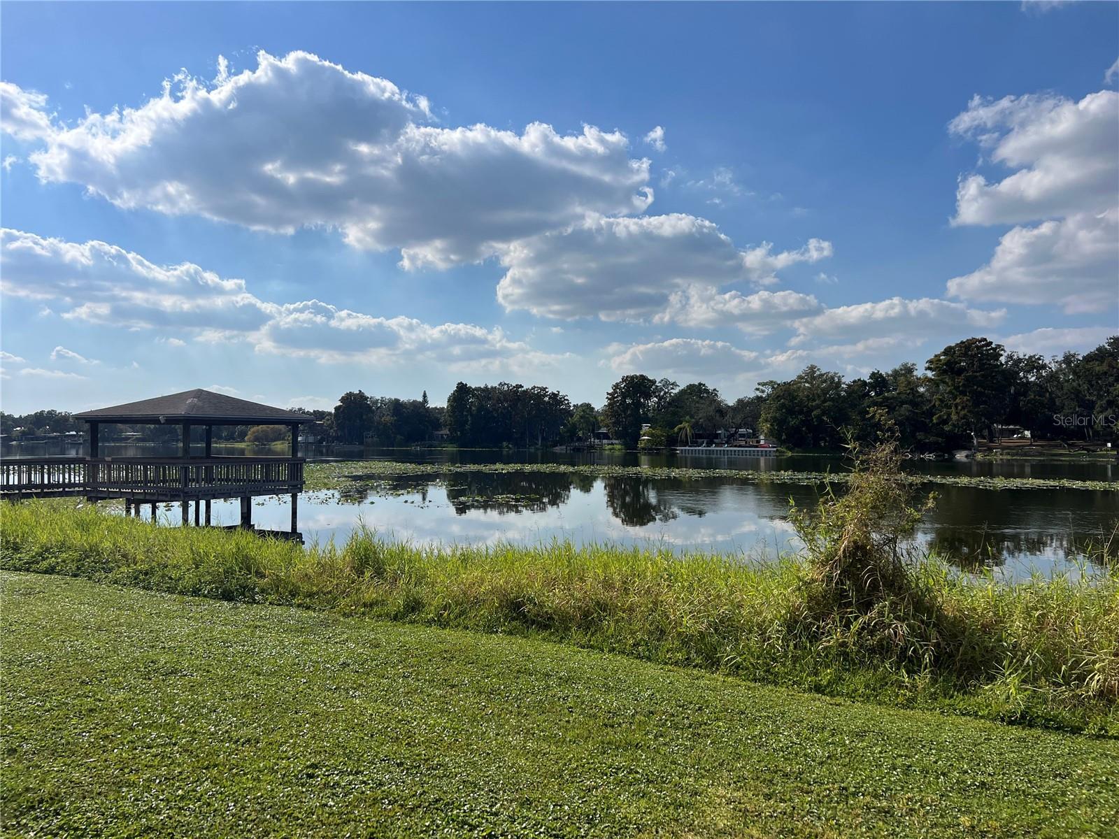 Photo of Listing #TB8449808