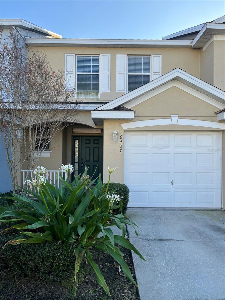 Photo of Listing #TB8450697