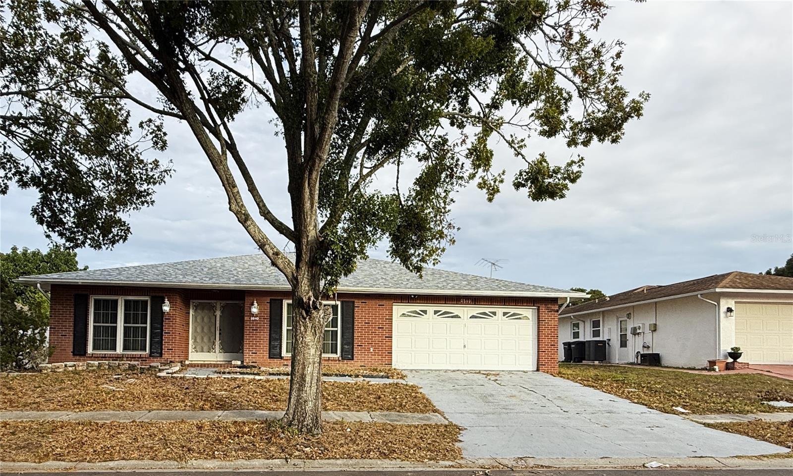 Photo of Listing #TB8451650