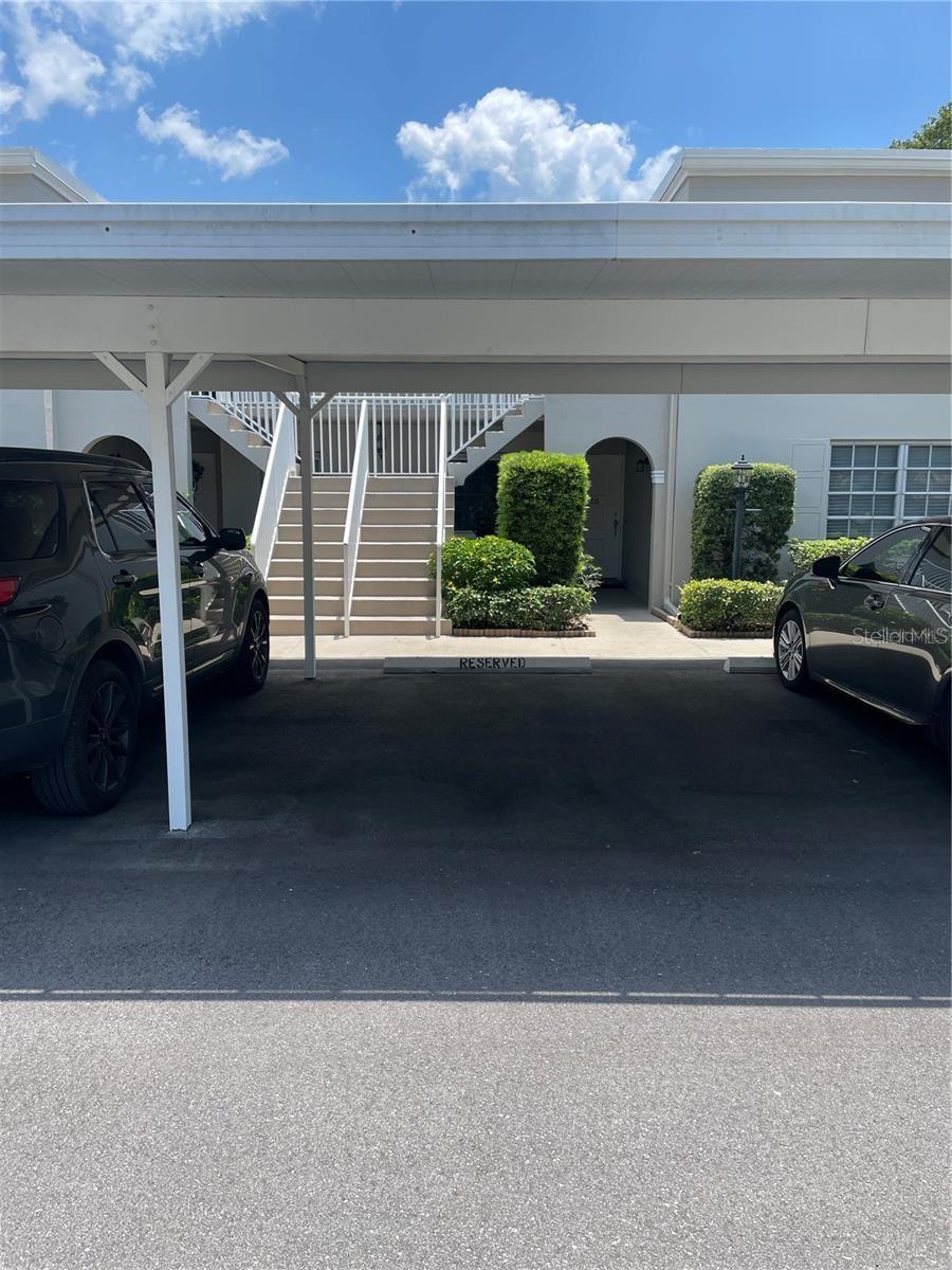 Photo of Listing #TB8453236