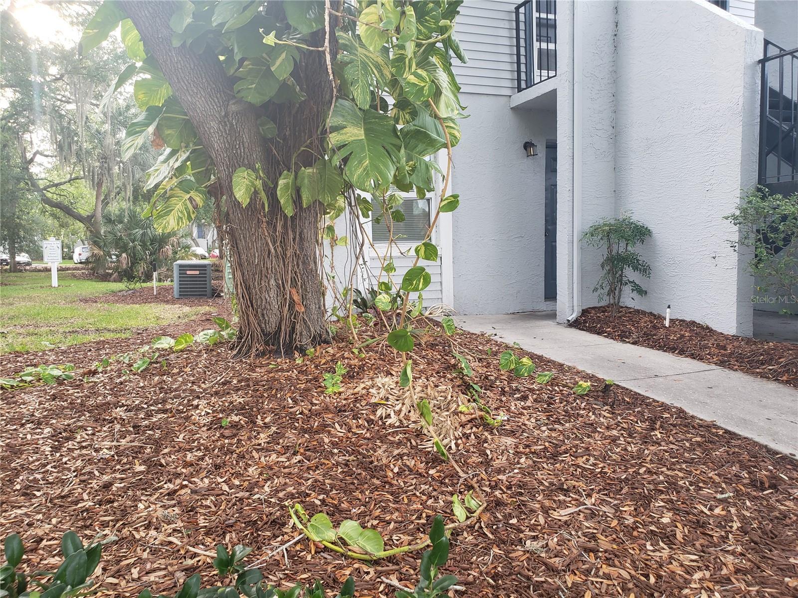 Photo of Listing #TB8456776