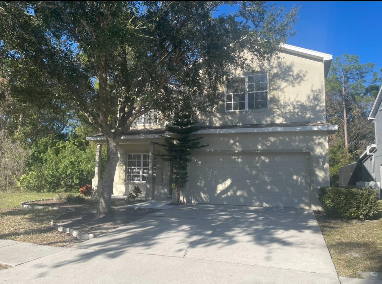 Photo of Listing #TB8457312