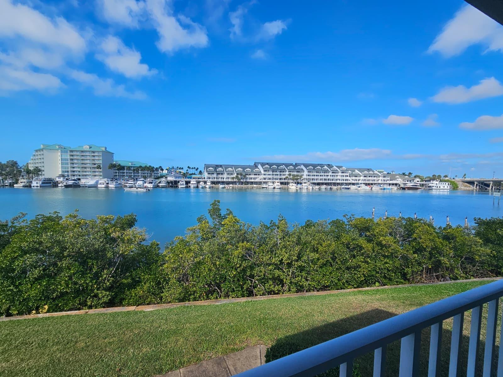 Photo of Listing #TB8460257