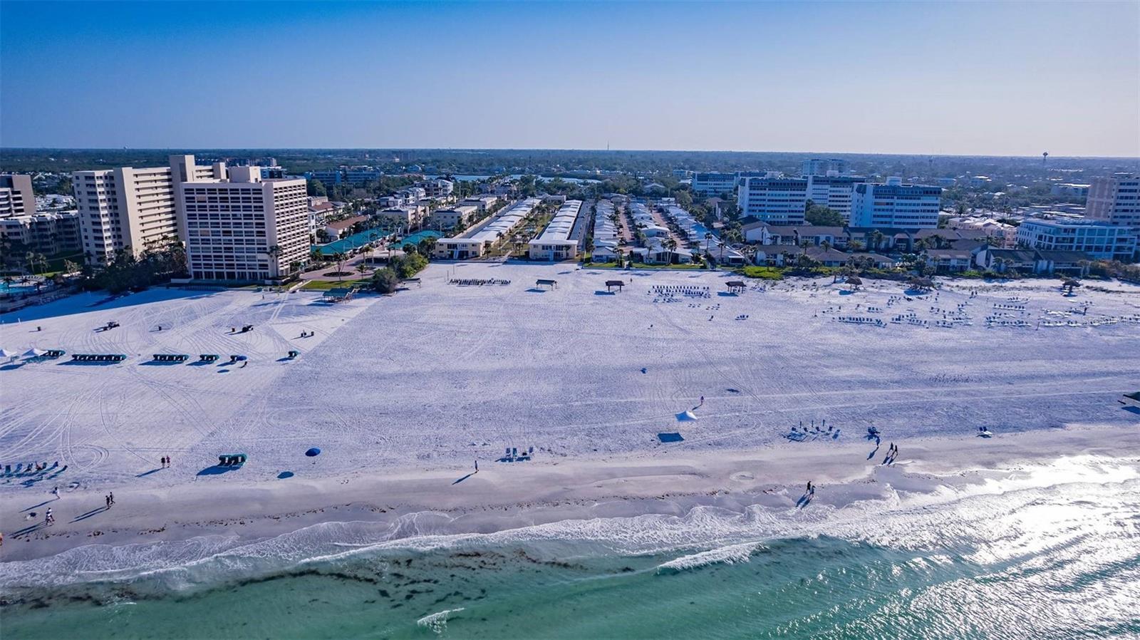 Photo of Listing #TB8462656