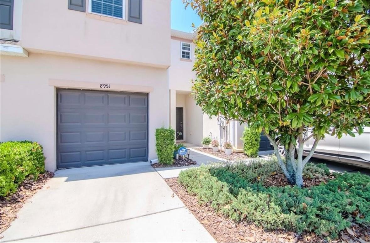 Photo of Listing #TB8463886