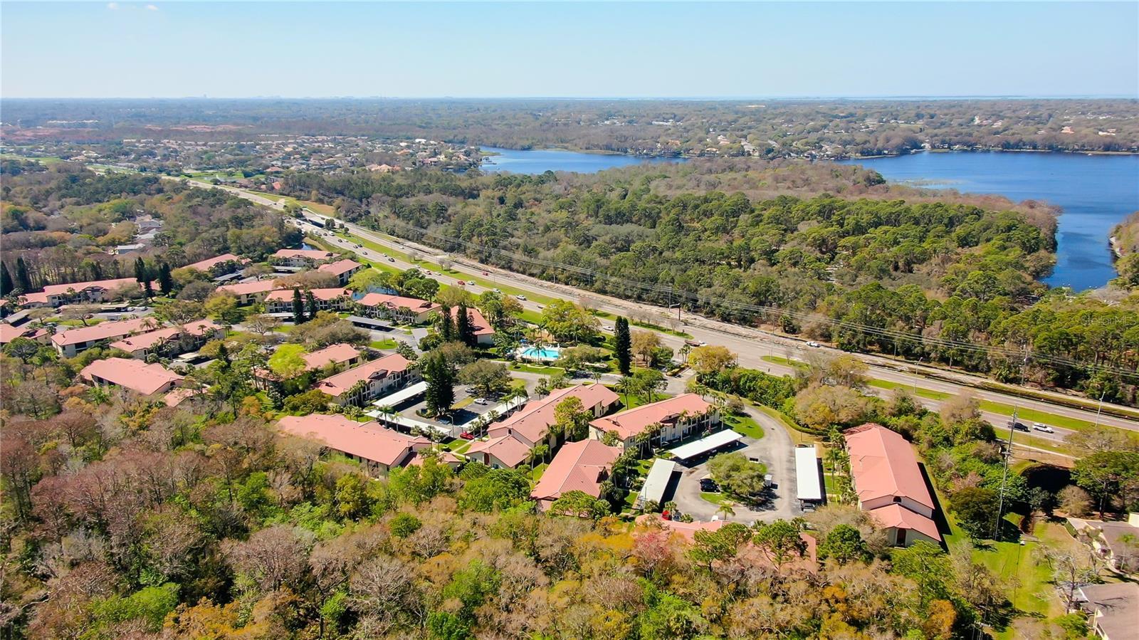 Photo of Listing #TB8464325