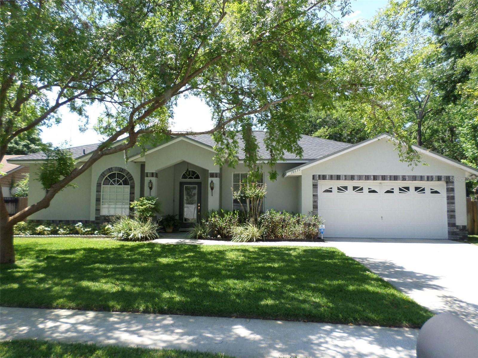 Photo of Listing #TB8466437