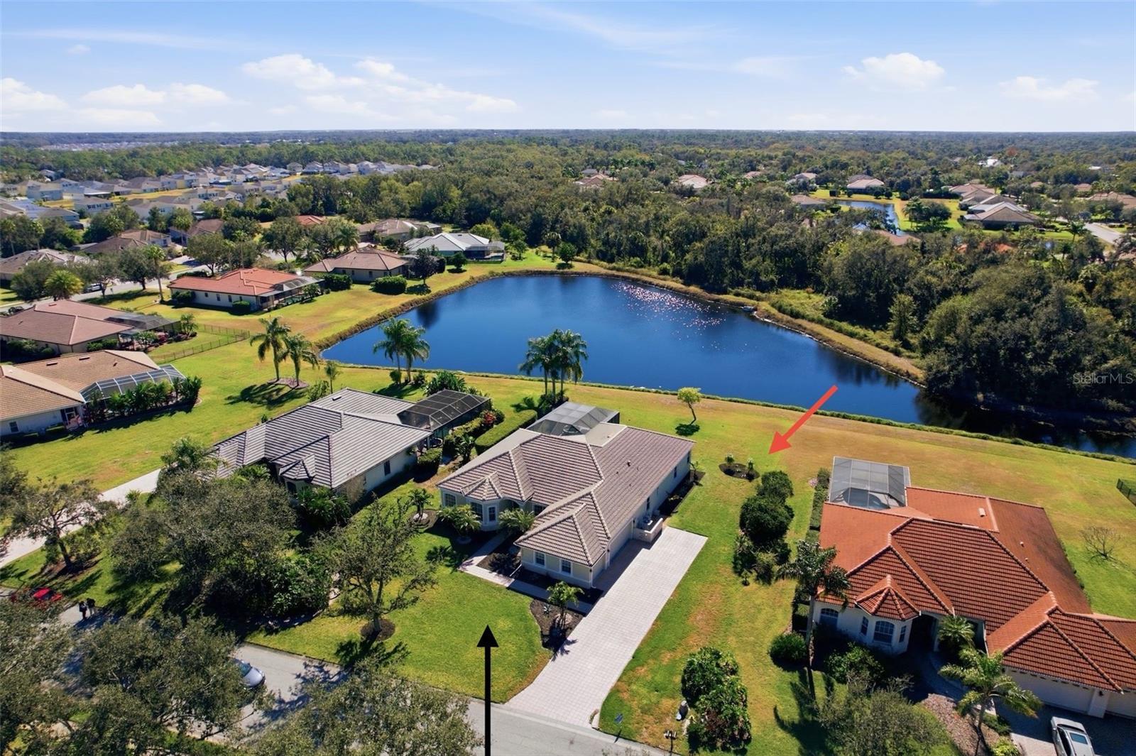 Photo of Listing #TB8466769