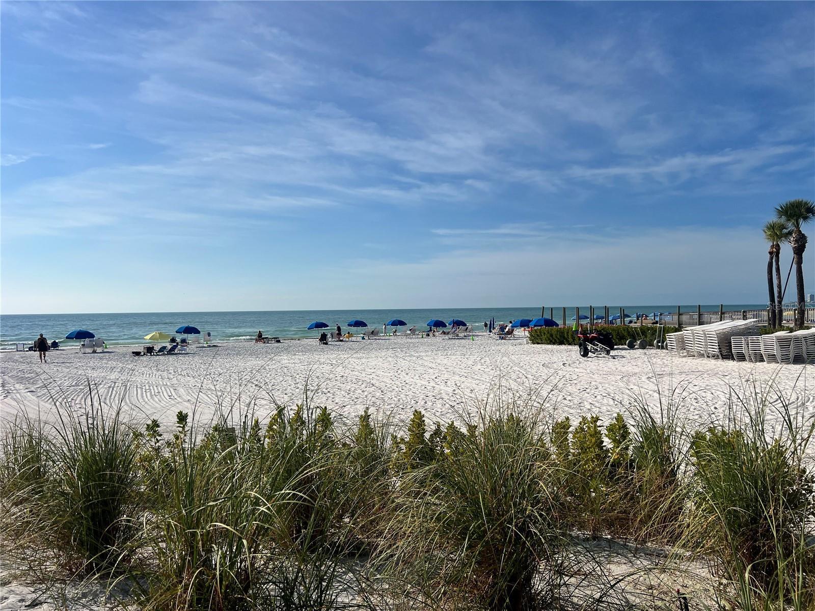 Photo of Listing #TB8470781