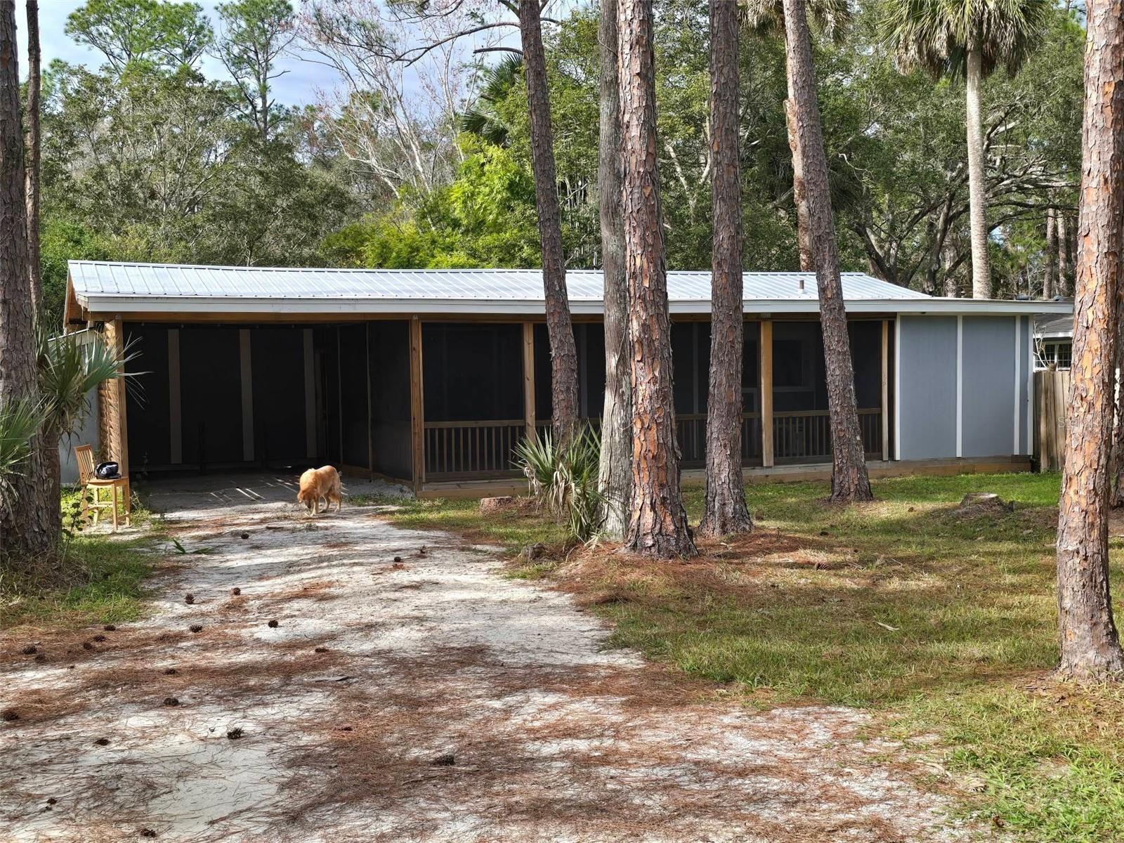 Photo of Listing #V4946804