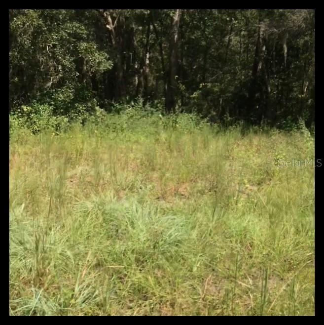 Photo of Listing #T3268190