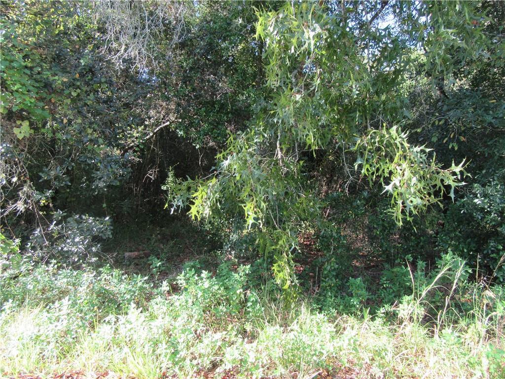Photo of Listing #W7827045