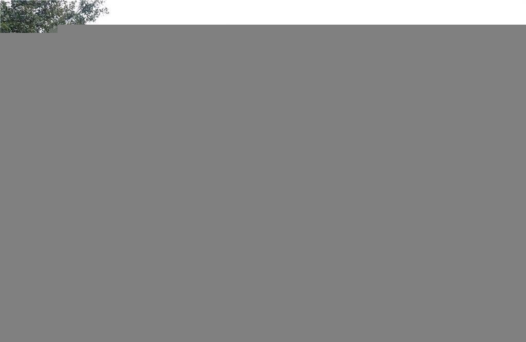 Photo of Listing #T3268150