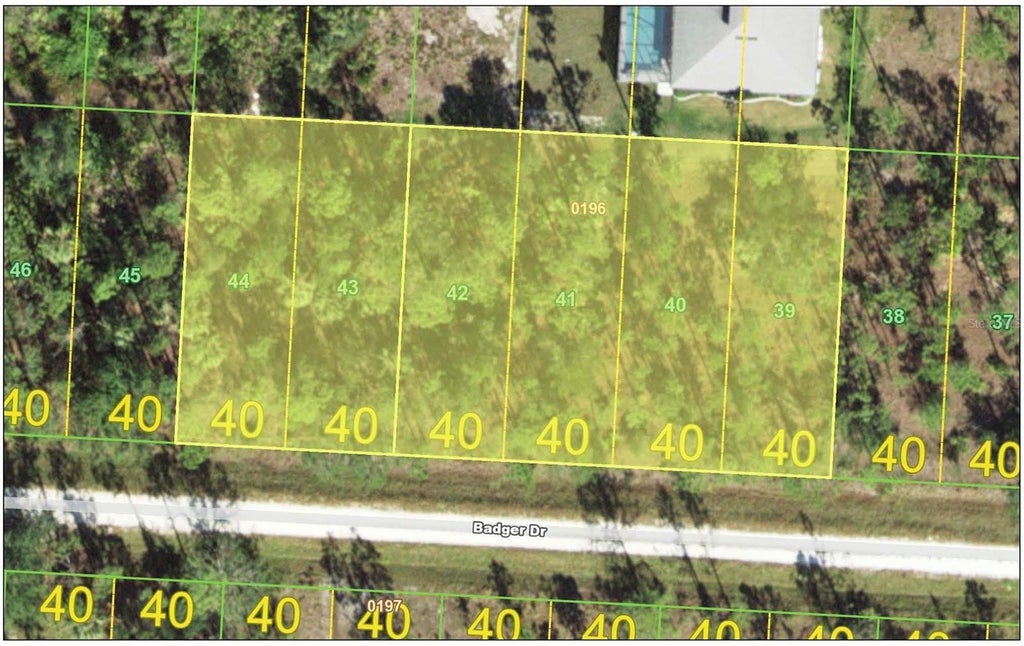 27116 Badger Drive, PUNTA GORDA Property Listing MLS® A4596139