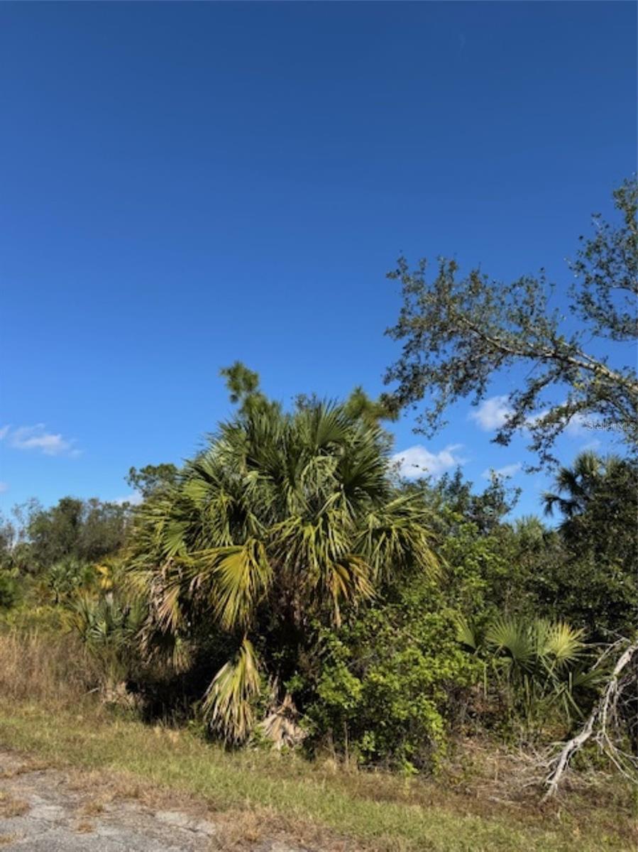 Button Street NORTH PORT Property - Mfra4632872 1 1b6c3d8165f935ee5fba4f775eea641f L