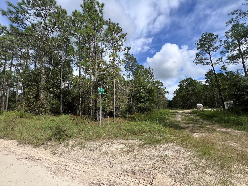 Sw 158th Ct, OCALA Property Listing MLS® G5086683
