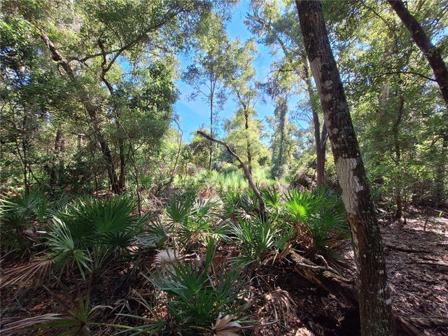 Tbd 00 Nw 47th Street, CHIEFLAND