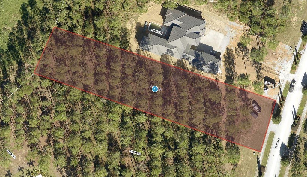 16208 Pendio Drive, MONTVERDE Property Listing MLS® J980722