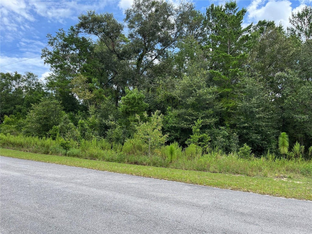 Tbd Sw Tamiami Place, DUNNELLON Property Listing MLS® OM684681