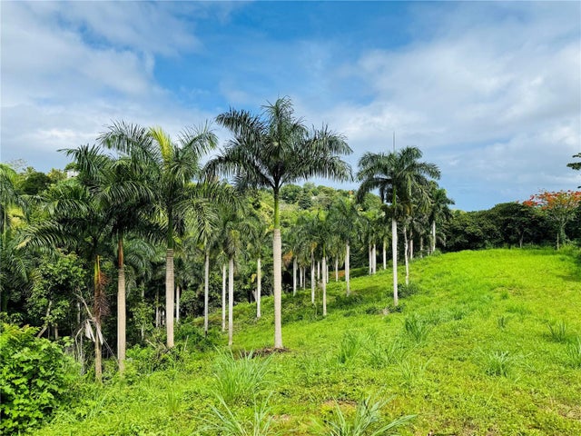 Carretera 416 Km 3 0 Bo Piedras Blancas AGUADA Property Listing: MLS