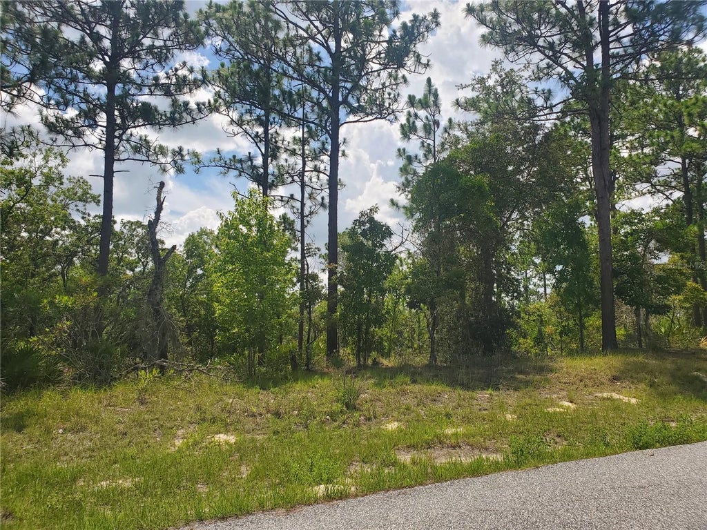 6562 North Clayton Avenue, DUNNELLON Property Listing MLS® T3534694