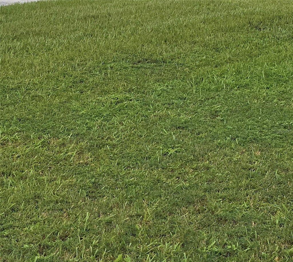 18th, TAMPA Property Listing MLS® TB8304221