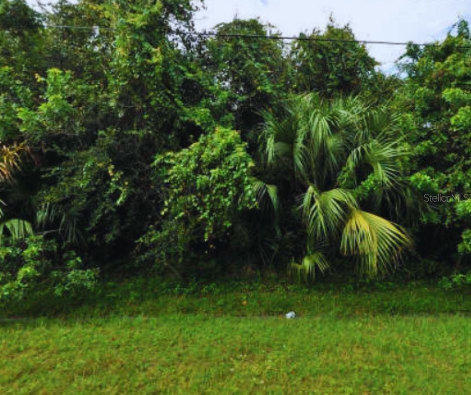 1510 Sw Underwood Avenue, PORT SAINT LUCIE Property Listing MLS® 