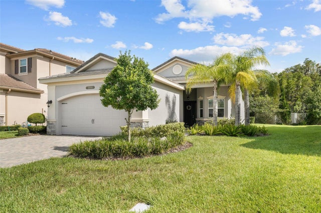 30900 Lindentree Drive, WESLEY CHAPEL