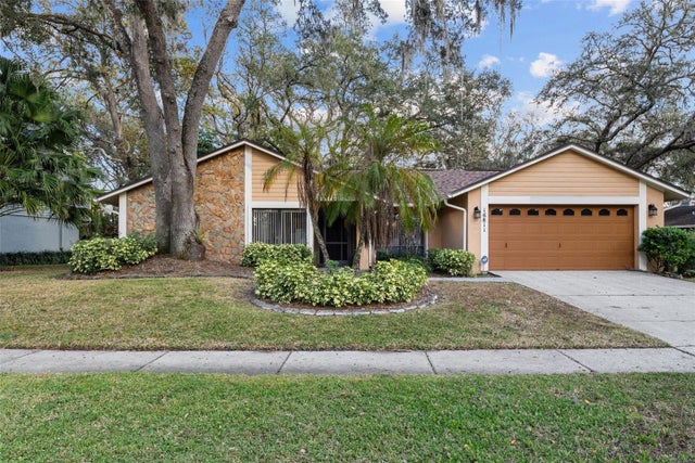 16811 Rolling Rock Drive, TAMPA