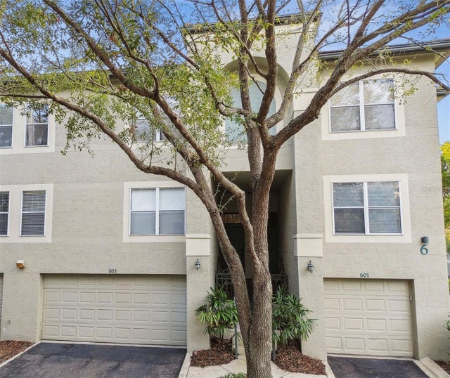 603 Tropical Breeze Way, TAMPA