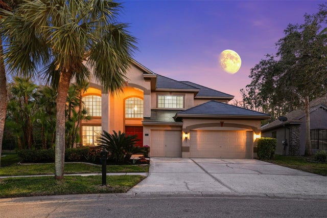 10436 Greendale Drive, TAMPA