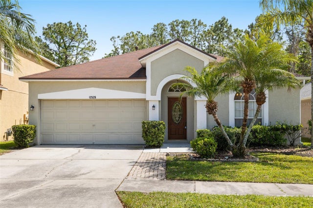 12526 Blazing Star Drive, TAMPA