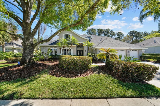 12117 Clear Harbor Drive, TAMPA