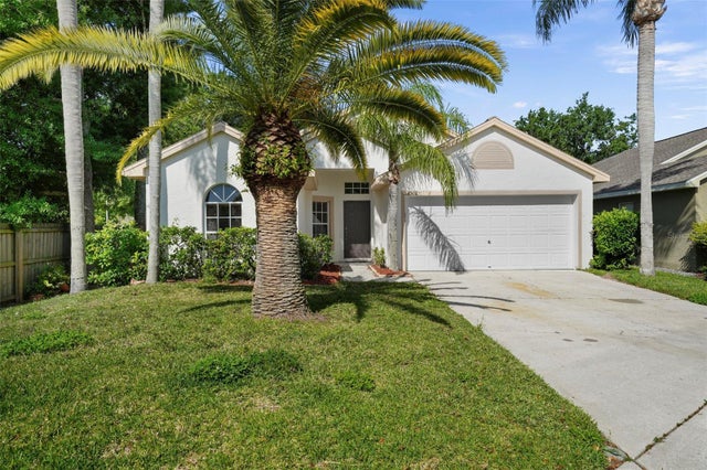 4502 Wild Plum Lane, LUTZ