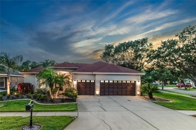 10626 Tavistock Drive, TAMPA