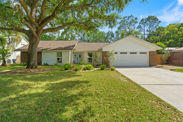 11709 Rolling Oaks Lane, TAMPA