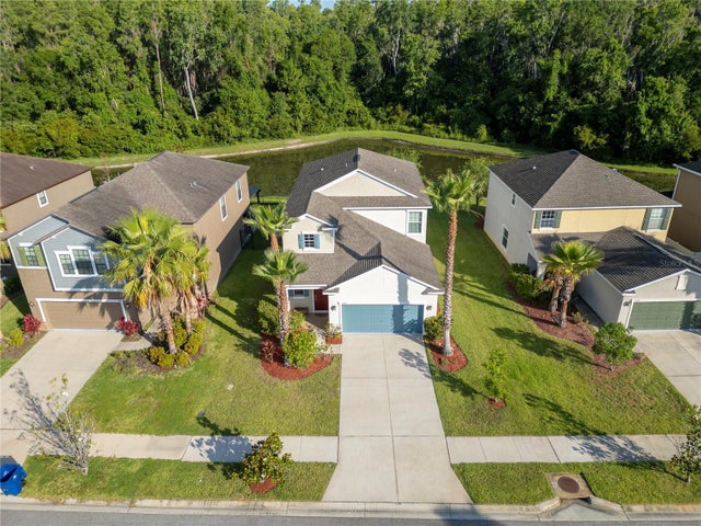 1669 Ludington Avenue, WESLEY CHAPEL